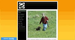 Desktop Screenshot of huntituplabs.com