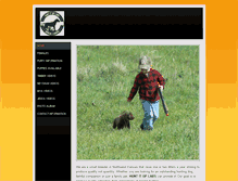 Tablet Screenshot of huntituplabs.com